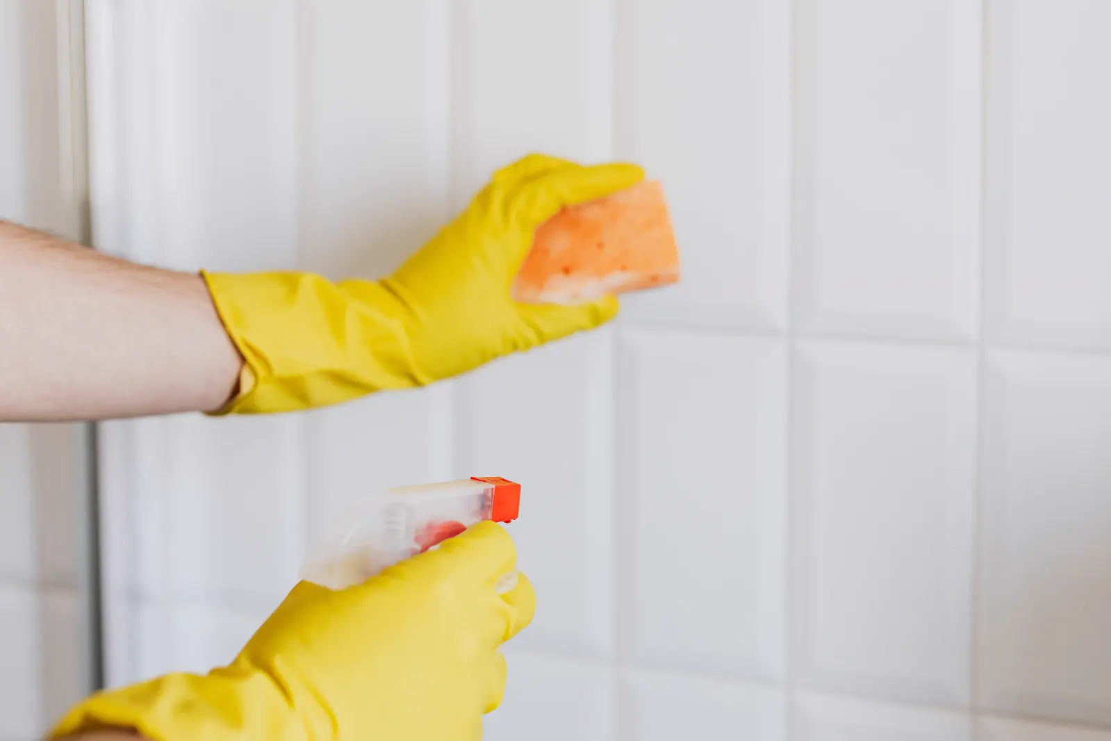Cleaner in gloves wiping bathroom tiles.
