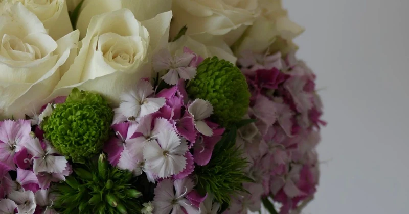 Illustrative soft pink and white bouquet palette for a seasonal stem study.