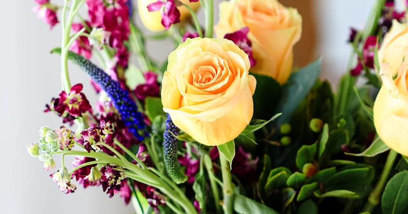 A florist arranging flowers in a vase.