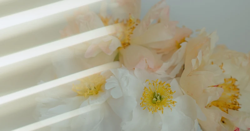 A soft arrangement of flowers displayed on a table.