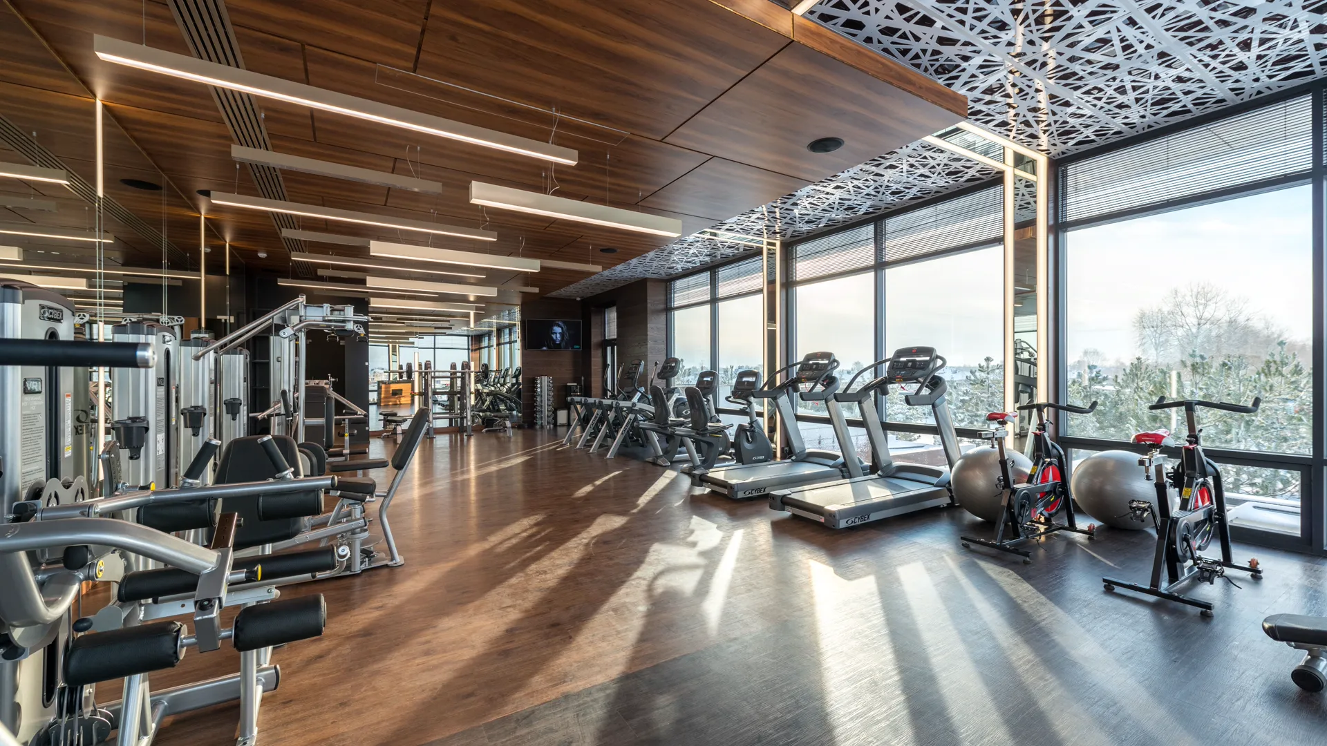 Representative interior view of the Forge Fitness training floor