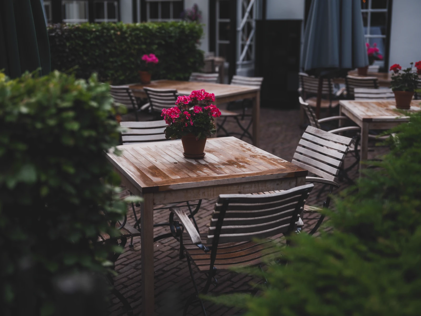 Quiet garden gate and outdoor seating surrounded by planting.