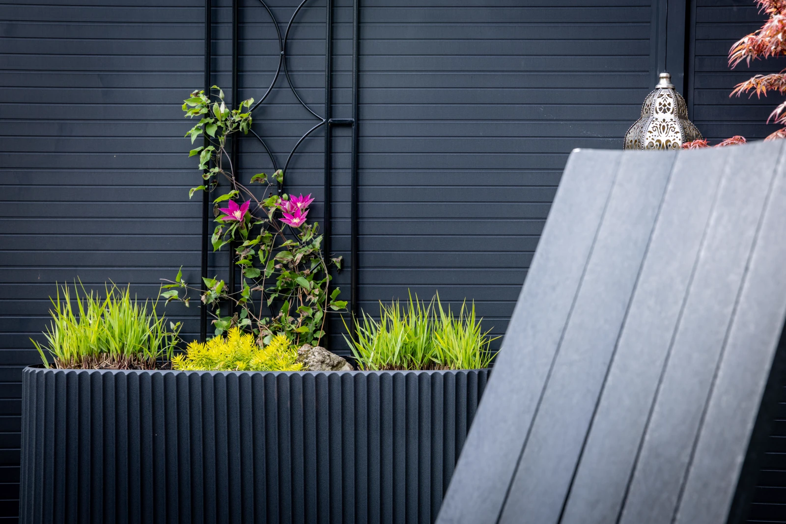 Layered garden planting beside a timber path and a modern outdoor structure.