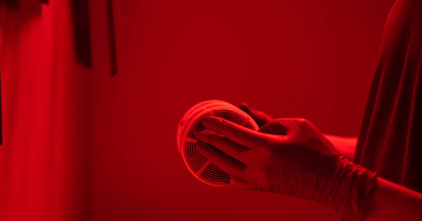 Hands holding a reel of photographic film.