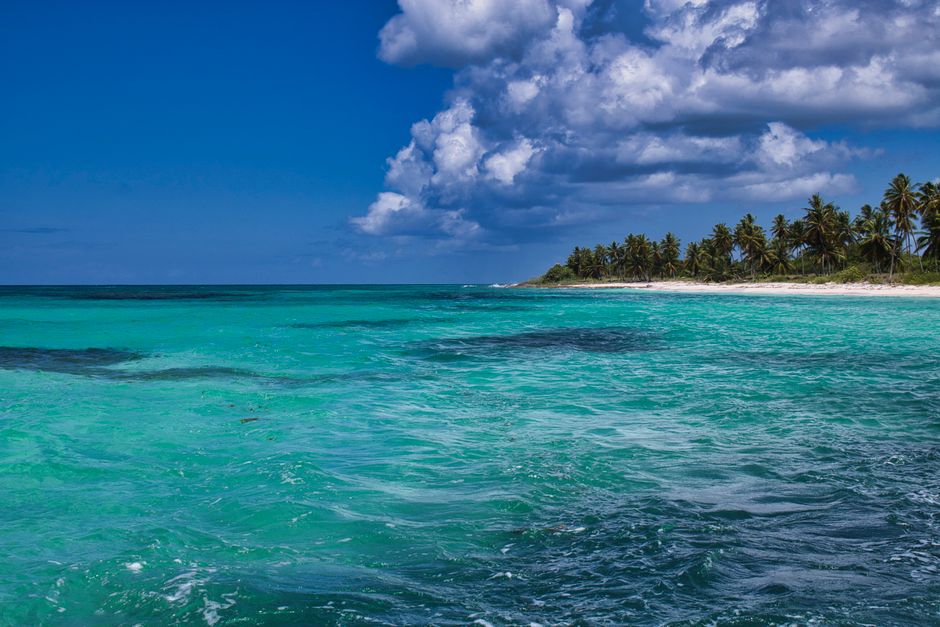 Palm trees over turquoise Caribbean water and white sand.