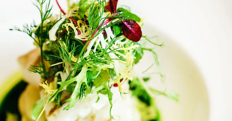 A bright bowl of dressed market leaves and herbs.